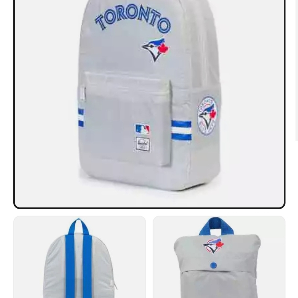 Herschel Supply Company Gray and Blue Packable Bag